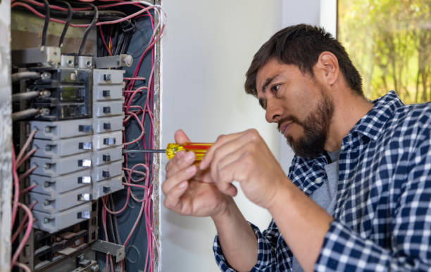 Best Electric Panel Repair  in Laurel, VA